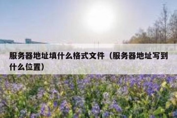 服务器地址填什么格式文件（服务器地址写到什么位置）