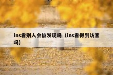 ins看别人会被发现吗（ins看得到访客吗）
