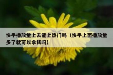 快手播放量上去能上热门吗（快手上面播放量多了就可以拿钱吗）