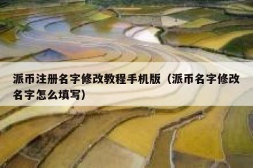 派币注册名字修改教程手机版（派币名字修改名字怎么填写）