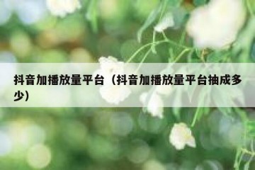 抖音加播放量平台（抖音加播放量平台抽成多少）