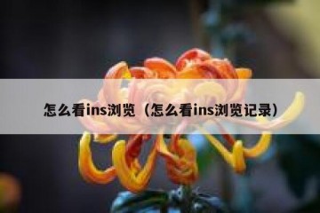 怎么看ins浏览（怎么看ins浏览记录）