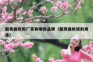 服务器机柜厂家有哪些品牌（服务器机柜的用途）