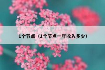 1个节点（1个节点一年收入多少）
