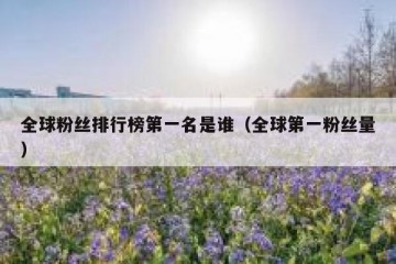 全球粉丝排行榜第一名是谁（全球第一粉丝量）