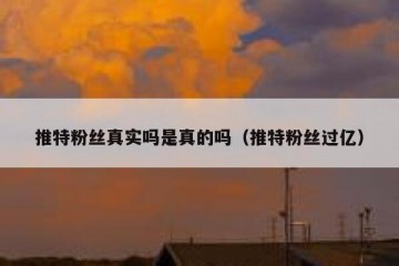 推特粉丝真实吗是真的吗（推特粉丝过亿）