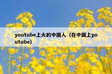 youtube上火的中国人（在中国上youtube）