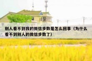 别人看不到我的微信步数是怎么回事（为什么看不到别人的微信步数了）