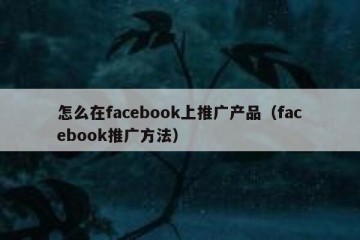 怎么在facebook上推广产品（facebook推广方法）
