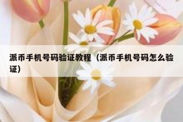 派币手机号码验证教程（派币手机号码怎么验证）