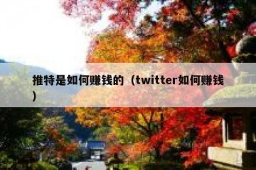 推特是如何赚钱的（twitter如何赚钱）