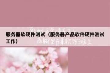 服务器软硬件测试（服务器产品软件硬件测试工作）