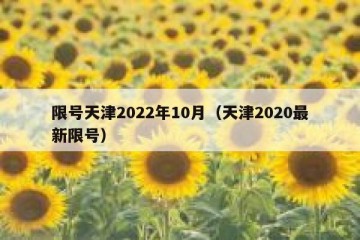 限号天津2022年10月（天津2020最新限号）