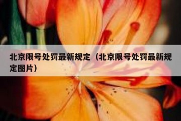北京限号处罚最新规定（北京限号处罚最新规定图片）