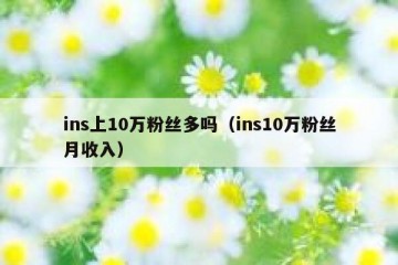 ins上10万粉丝多吗（ins10万粉丝月收入）