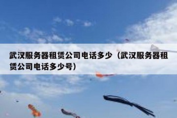 武汉服务器租赁公司电话多少（武汉服务器租赁公司电话多少号）