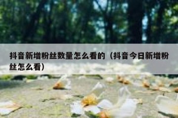 抖音新增粉丝数量怎么看的（抖音今日新增粉丝怎么看）