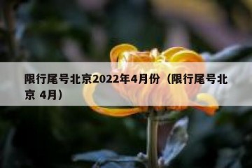 限行尾号北京2022年4月份（限行尾号北京 4月）