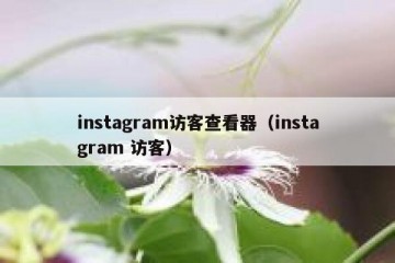 instagram访客查看器（instagram 访客）