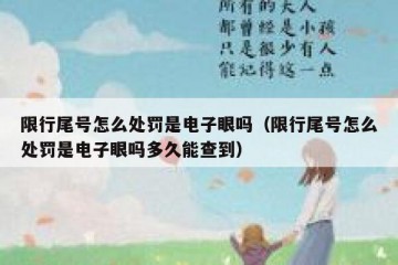 限行尾号怎么处罚是电子眼吗（限行尾号怎么处罚是电子眼吗多久能查到）