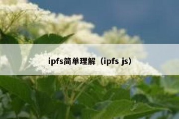 ipfs简单理解（ipfs js）