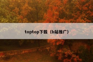 toptop下载（b站推广）