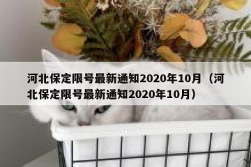 河北保定限号最新通知2020年10月（河北保定限号最新通知2020年10月）