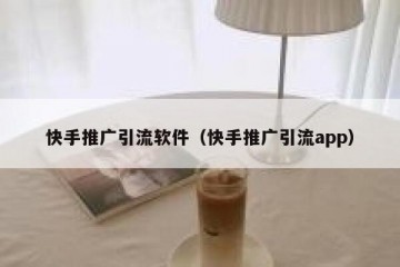 快手推广引流软件（快手推广引流app）