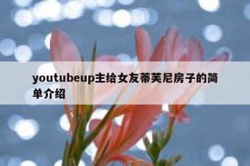 youtubeup主给女友蒂芙尼房子的简单介绍