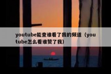 youtube能查谁看了我的频道（youtube怎么看谁赞了我）