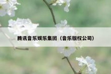 腾讯音乐娱乐集团（音乐版权公司）