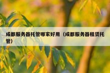 成都服务器托管哪家好用（成都服务器租赁托管）