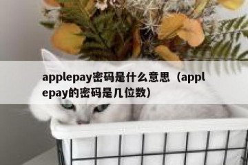 applepay密码是什么意思（applepay的密码是几位数）