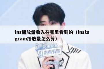 ins播放量收入在哪里看到的（instagram播放量怎么算）
