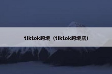 tiktok跨境（tiktok跨境店）