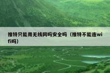 推特只能用无线网吗安全吗（推特不能连wifi吗）