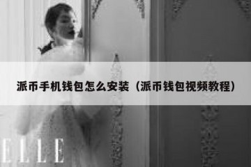 派币手机钱包怎么安装（派币钱包视频教程）
