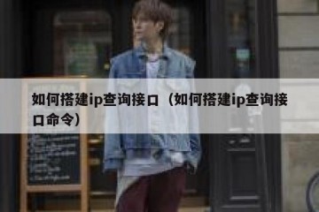 如何搭建ip查询接口（如何搭建ip查询接口命令）