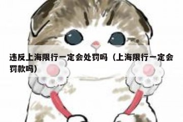 违反上海限行一定会处罚吗（上海限行一定会罚款吗）