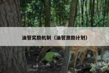 油管奖励机制（油管激励计划）