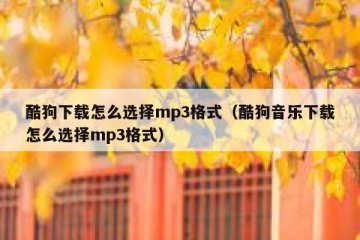 酷狗下载怎么选择mp3格式（酷狗音乐下载怎么选择mp3格式）