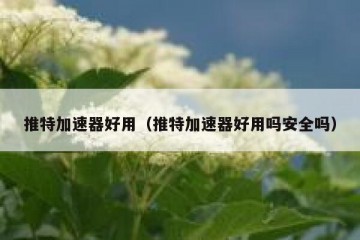 推特加速器好用（推特加速器好用吗安全吗）