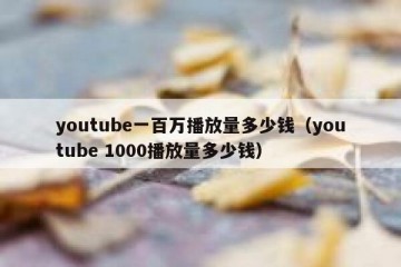 youtube一百万播放量多少钱（youtube 1000播放量多少钱）