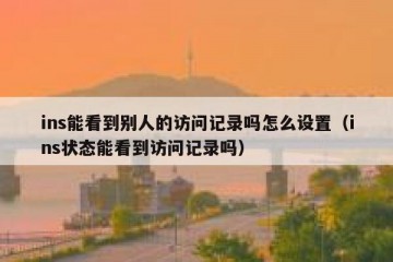 ins能看到别人的访问记录吗怎么设置（ins状态能看到访问记录吗）