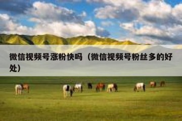 微信视频号涨粉快吗（微信视频号粉丝多的好处）