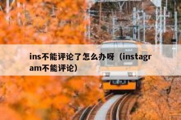 ins不能评论了怎么办呀（instagram不能评论）