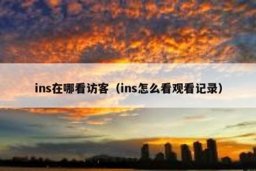 ins在哪看访客（ins怎么看观看记录）
