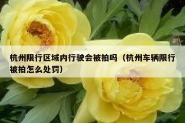 杭州限行区域内行驶会被拍吗（杭州车辆限行被拍怎么处罚）