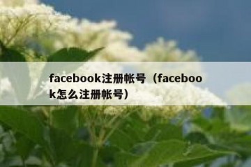 facebook注册帐号（facebook怎么注册帐号）