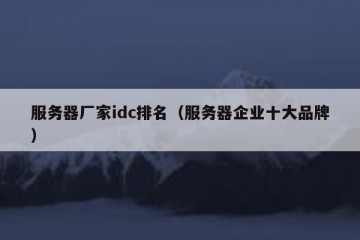 服务器厂家idc排名（服务器企业十大品牌）